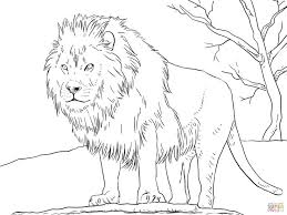 When it gets too hot to play outside, these summer printables of beaches, fish, flowers, and more will keep kids entertained. Lion Coloring Pages Cat Coloring Page Animal Templates