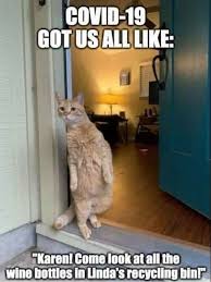 Nosey Evil In 2020 Haha Funny Animal Memes Funny Pictures