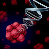 Image result for how could stem cells prove helpful in the treatment of cardiovascular diseases