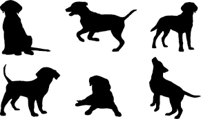 Labrador Silhouette Sitting Photos Royalty Free Images Graphics Vectors Videos Adobe Stock Free golden retriever silhouette clip art. labrador silhouette sitting photos