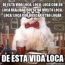 En la entrada del metro (hay que cojerlo, porque la tía a esa hora siempre está ocupada. Meme Chemistry Cat De Esta Vida Loca Loca Loca Con Su Loca Realidad Que Se Ha Vuelto Loca Loca Loca Por Buscar Otro Lugar De Esta Vida Loca 27327328