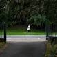 Run in Wirral event image