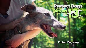 Check spelling or type a new query. Florida Amendment 13 Ban On Wagering On Dog Races Amendment 2018 Ballotpedia