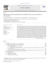 9:49 voxproductions méxico 13 372 718 просмотров. Pdf Modularity And Functional Plasticity Of Scaffold Proteins As P L Acemakers In Cell Signaling