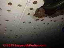 All these materials are environmentally safe and our factories comply with iso 14001. Does This Ceiling Tile Contain Asbestos How To Recognize Or Test To Demonstrate Asbestos Free Ceiling Tiles Or Panels