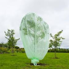 In the refrigerator, covered by just paper towels, the fruit will dry, giving it. Haxnicks Tree010101 2 M Fruit Tree Protector Green 200 X 200 X 200 Cm Amazon Co Uk Garden Outdoors
