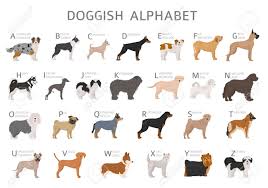 Naming a baby is a tough job, especially with so many names that mean so many different things. Doggish Alphabet For Dog Lovers Letters Of The Alphabet With The Names Of The Dog Breeds Vector Illustration Royalty Free Cliparts Vectors And Stock Illustration Image 141527342