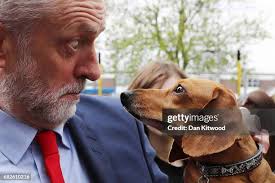 557 Dan Cody Stock Photos, High-Res Pictures, and Images