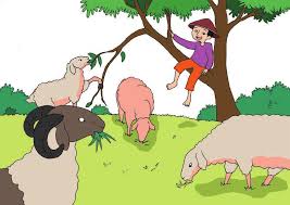 Maka dari itu pasti ada perbedaan antara sel hewan dan tumbuhan. 76 Gambar Kartun Manusia Hewan Dan Tumbuhan Terbaru Gambar Hewan