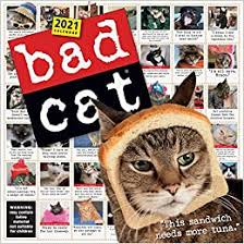 Bad Cat Wall Calendar 2021 Amazon Co Uk Workman Calendars 9781523508341 Books