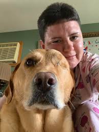 Silver Feathers Labradors