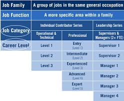 Categories And Levels Most job postings or job if the job posting specifically refers to recent graduates you know that it is an entry level position. categories and levels