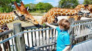 Tiene más de 130 años y tiene alrededor de 2000 animales. Jardim Zoologico De Lisboa 2021 Dicas Incriveis