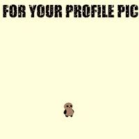 Maybe you would like to learn more about one of these? Discord Profile Pic Gifs Get The Best Gif On Giphy