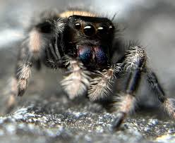 This gorgeous Stelly Belly girl is...