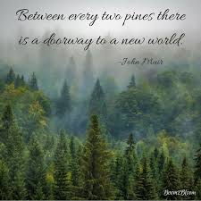 Memorable quotes and exchanges from movies, tv series and more. Nature Is My Sanctuary Quotes About Nature Ebook Boom2bloom Com Nature Quotes John Muir Quotes John Muir