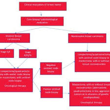 Find a chart of breast cancer stages and types here. Pdf Algorithm Of Breast Cancer Treatment With Review Of Histological Types And Reconstruction Modalities
