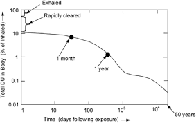 Depleted uranium bullet fragments can break up into small pieces once in the body, thus making them difficult to remove. Gulf War Depleted Uranium Risks Journal Of Exposure Science Environmental Epidemiology