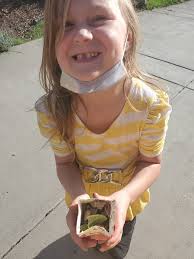 Slug care tips for a milk carton enclosure