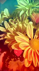 Good morning friends