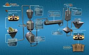 Mountain Water Decaf Process Tibaagan Coffees