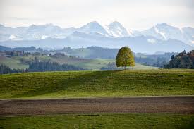 Choisissez parmi des contenus premium emmental schweiz de la plus haute qualité. Unterkunftstipp Jugendherberge Schloss Burgdorf Emmental Schweiz Die Wunderschone Region Emmental Reiseblog Travel Sisi