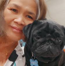 German scientists have developed an injectable bioactive gel that helps  joints heal themselves — no surgery, no implants, just natural  regeneration. The gel forms a scaffold inside damaged joints, attracting  stem cells