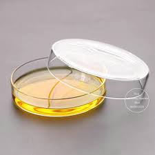 Klik pada gambar thumbail untuk mengunduh gambar ukuran penuh. 60 Mm Untuk 200 Mm Kaca Borosilikat Cawan Petri Sel Steril Piring Budaya Alat Laboratorium Aliexpress