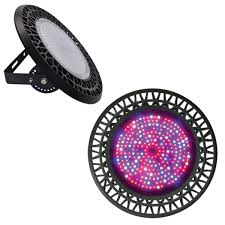 We did not find results for: Best Led Grow Lights In South Africa Cannabis Buddy