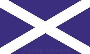 The national flag of scotland is the saltire. Flag Of Scotland St Andrew S Cross