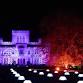 Festive Meet and Feast at Ashridge House event image