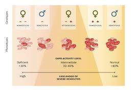 Image result for G6PD Deficiency Detection
