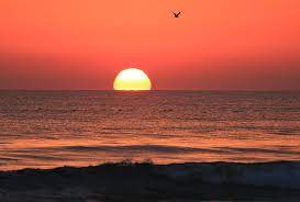 Maybe you would like to learn more about one of these? Daytona Beach Sunrise Photograph By Wild Expressions Photography