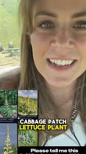 If it’s what I think it is, what should I do! #Harvest2024 #farmgirl  #reelfb #viralreelfb #farminglife