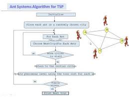 Traveling Salesman Problem Using Ant Colony Optimization Part 2 In Hindi