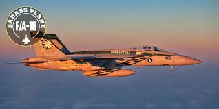 The f18 study section reviews fellowship and training applications that focus on epidemiology and population sciences in humans across the life span, including the impact of various factors on physical and mental health outcomes. F 18 Super Hornet Why The F A 18 Is Such A Badass Plane