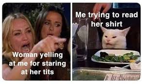 Most Hillarious 29 Woman Yelling At A Cat Memes Bored Bat