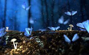 Significado Espiritual De La Mariposa Mariposas Significado Dormir Profundamente Espiritualidad