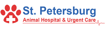 We offer services from regular wellness checkups, to dental care, to beauty services, such as our pet spa and grooming salon. St Petersburg Animal Hospital Urgent Care St Petersburg S First Emergency Veterinary Care Clinic Established 1973