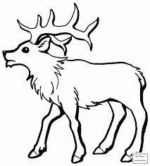 Elk Coloring Pages Printable Shelter Deer Coloring Pages Coloring Pages Animal Coloring Pages