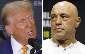 Election américaine 2024 : Animateur star de podcast, Joe Rogan annonce son  soutien à Donald Trump