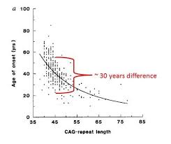 the determinants of age at onset for huntingtons disease