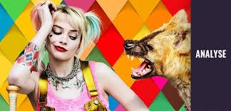 Last month, margot robbie admitted she was exhausted from playing harley quinn twice in quick succession, and hinted that she could be taking a break from the character. Flop Fur Margot Robbie Birds Of Prey Ist Aber Deutlich Besser Als Suicide Squad