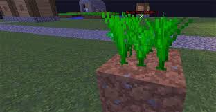 You can craft food items in minecraft such as apple, carrot, potato. 20 Best Food Items In Minecraft Ranked Fandomspot