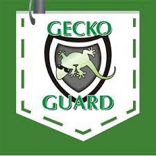 Gecko pest management's approach to tucson drywood termite control… as said above these termites do not need to trail down beneath the structure and it's because of this the normal treatment. Gecko Pest Management Home Facebook