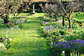 Create an orchard on your own patio! Kitchen Garden With Stock Photo By Carole Drake Image 0626159