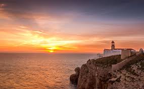 Image result for Faroa affinis