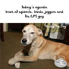 Haiku By Dog Agenda Life With Dogs And Cats Dog Poetry Dogs Dog Cat
