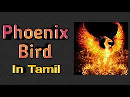 Reconnect with the sights and sounds of nature at these top spots for birding in greater phoenix. Phoenix Bird In Tamil Pencil People Youtube