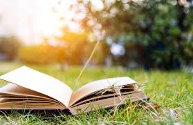 It is national reading day 2021, today, june 19. Reading Day Is Being Celebrated By The Nation Today